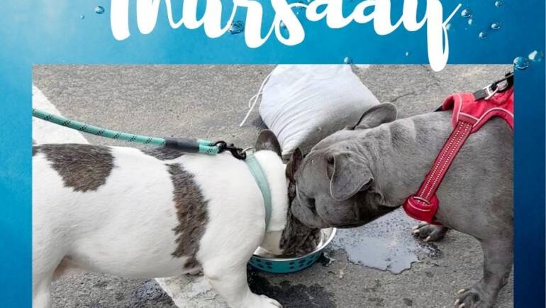 Happy Thirsty Thursday!