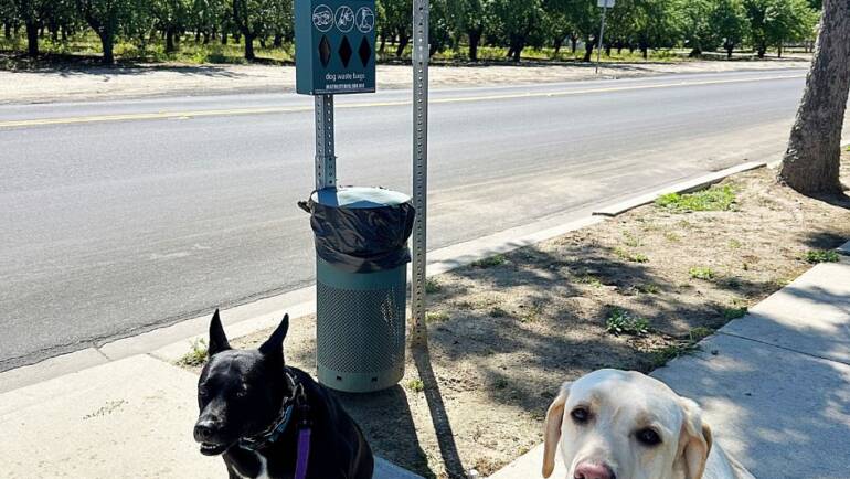 Motivational Monday:  Potty on Command