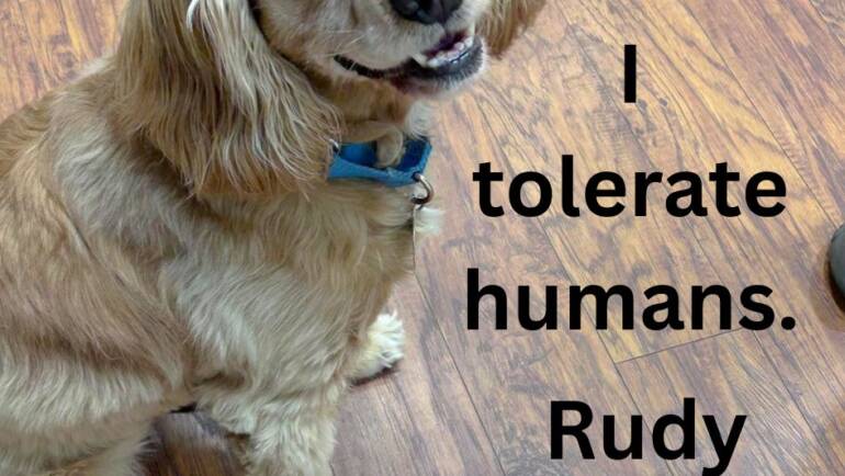 Respectful Rudy
