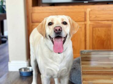 Happy Tongue Out Tuesday
