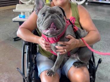 Therapy Dog Training