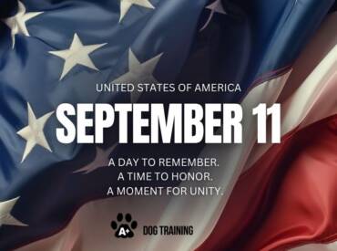 We Remember