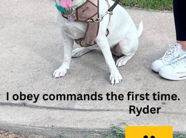 Remarkable Ryder