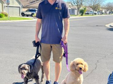 Why Walk with Dogs?