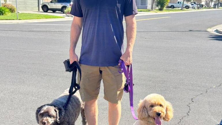 Why Walk with Dogs?