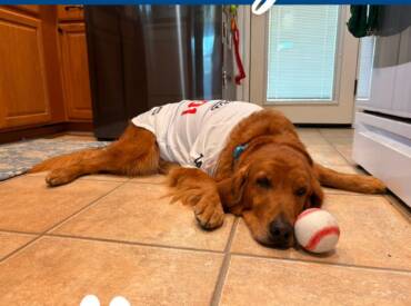 Let’s Go Dodgers!