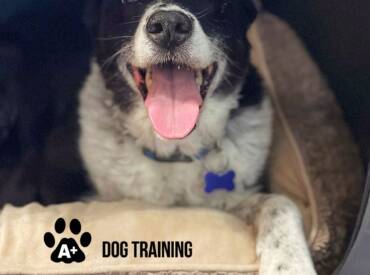 Happy Tongue Out Tuesday!